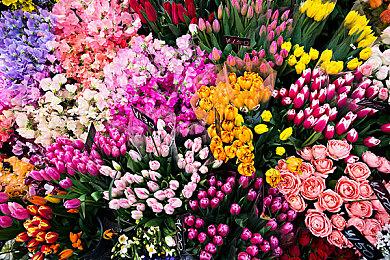 粉丝推测《生化危机5》重制版消息快要来了