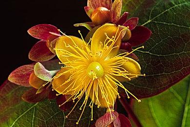 《扭矩漂移2》Steam上线 经典竞速游戏新作